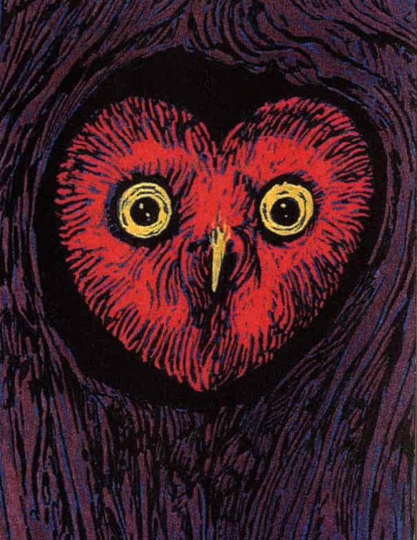 Heart Owl - Strange Uncle