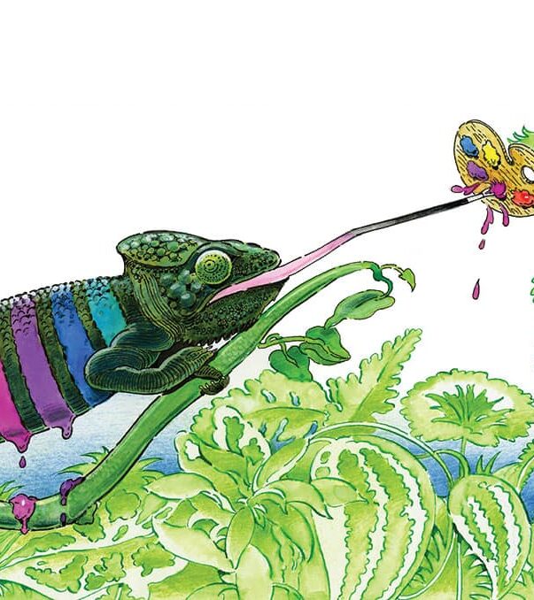 Chameleon - Strange Uncle