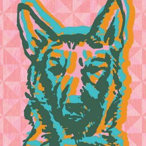 German Shepherd Dog - Strange Uncle