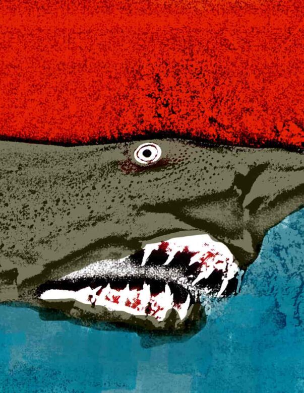 Goblin Shark - Strange Uncle