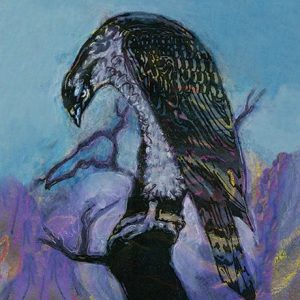 Hawk - Strange Uncle