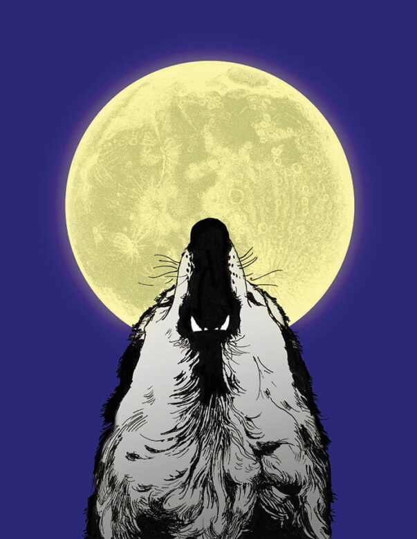 Howling Wolf - Strange Uncle