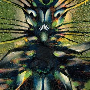 Insect Alien - Strange Uncle