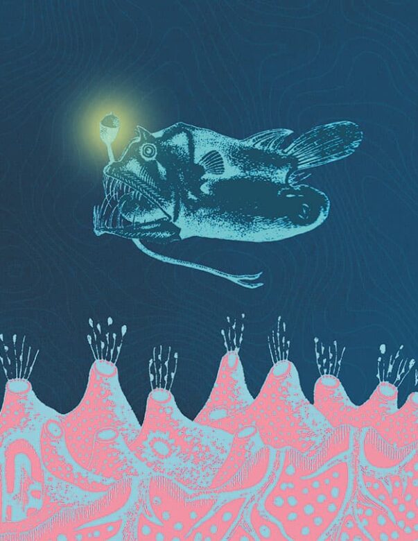 Lantern Fish - Strange Uncle