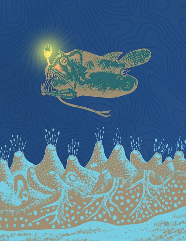 Lantern Fish 2 - Strange Uncle