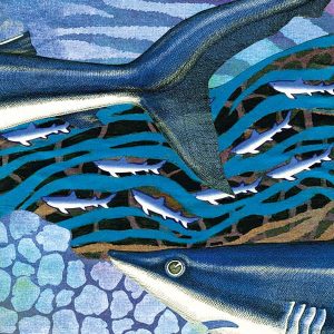 Mako Shark - Strange Uncle