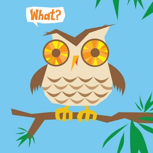 Owl says What - Strange Uncle