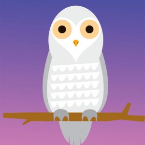 Snowy owl - Strange Uncle
