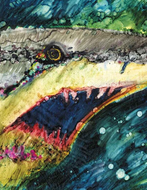 Tiger Shark - Strange Uncle