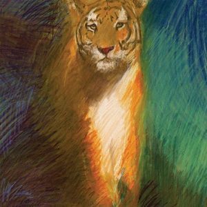 Tiger in the Grass - Strange Uncle