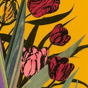 Tulips - Strange Uncle