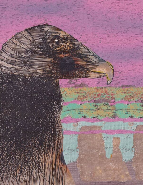 Vulture Southwest - Strange Uncle